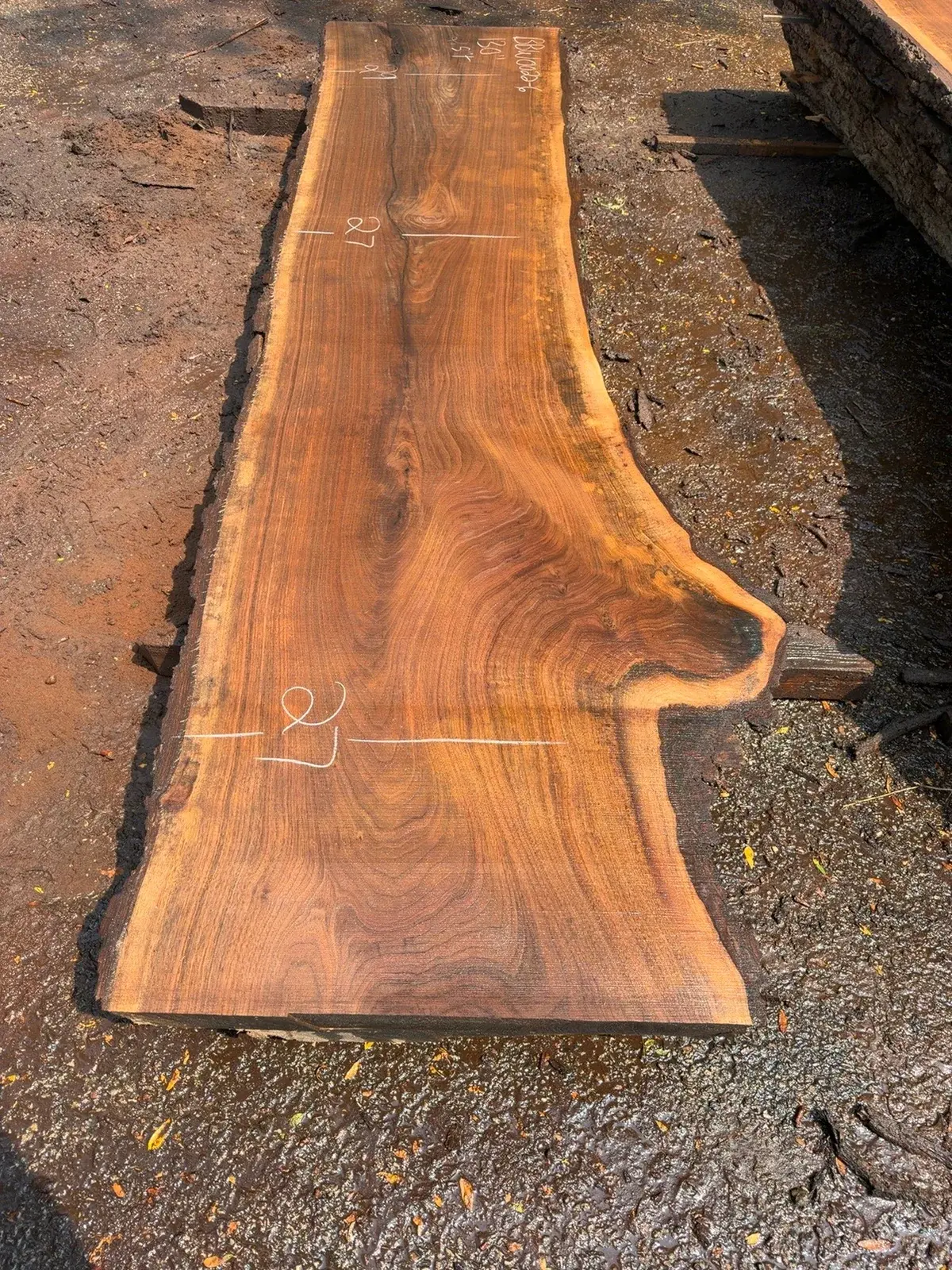 Live-edge black walnut