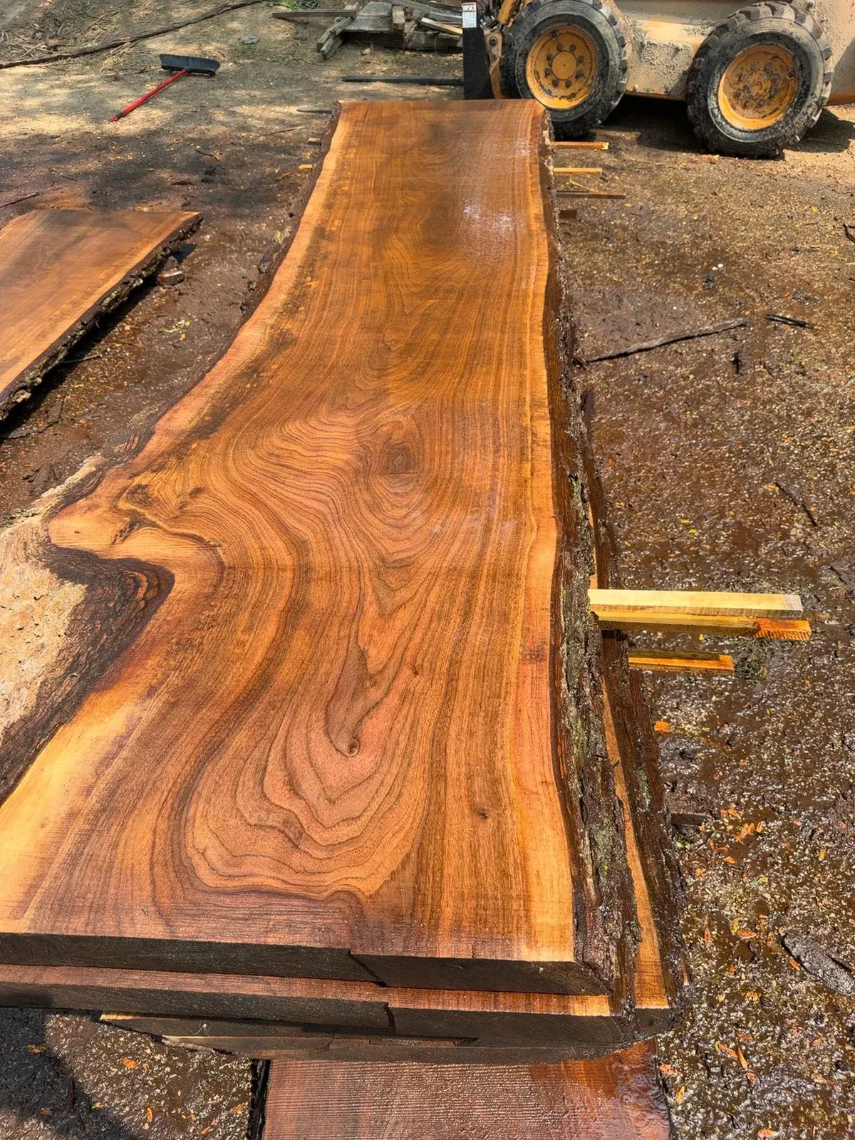 Rare & oversized timber